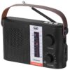 RADIO SOLAR PORTÁTIL BLUETOOTH USB MICRO SD TWS TREVI RA 7F25 BT